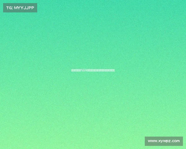 《激情四射的NBA球迷文化：从赛场到看台的热血与狂欢》